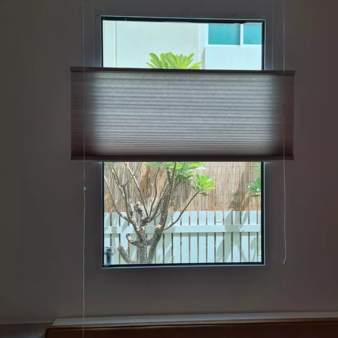Honeycomb Blinds
