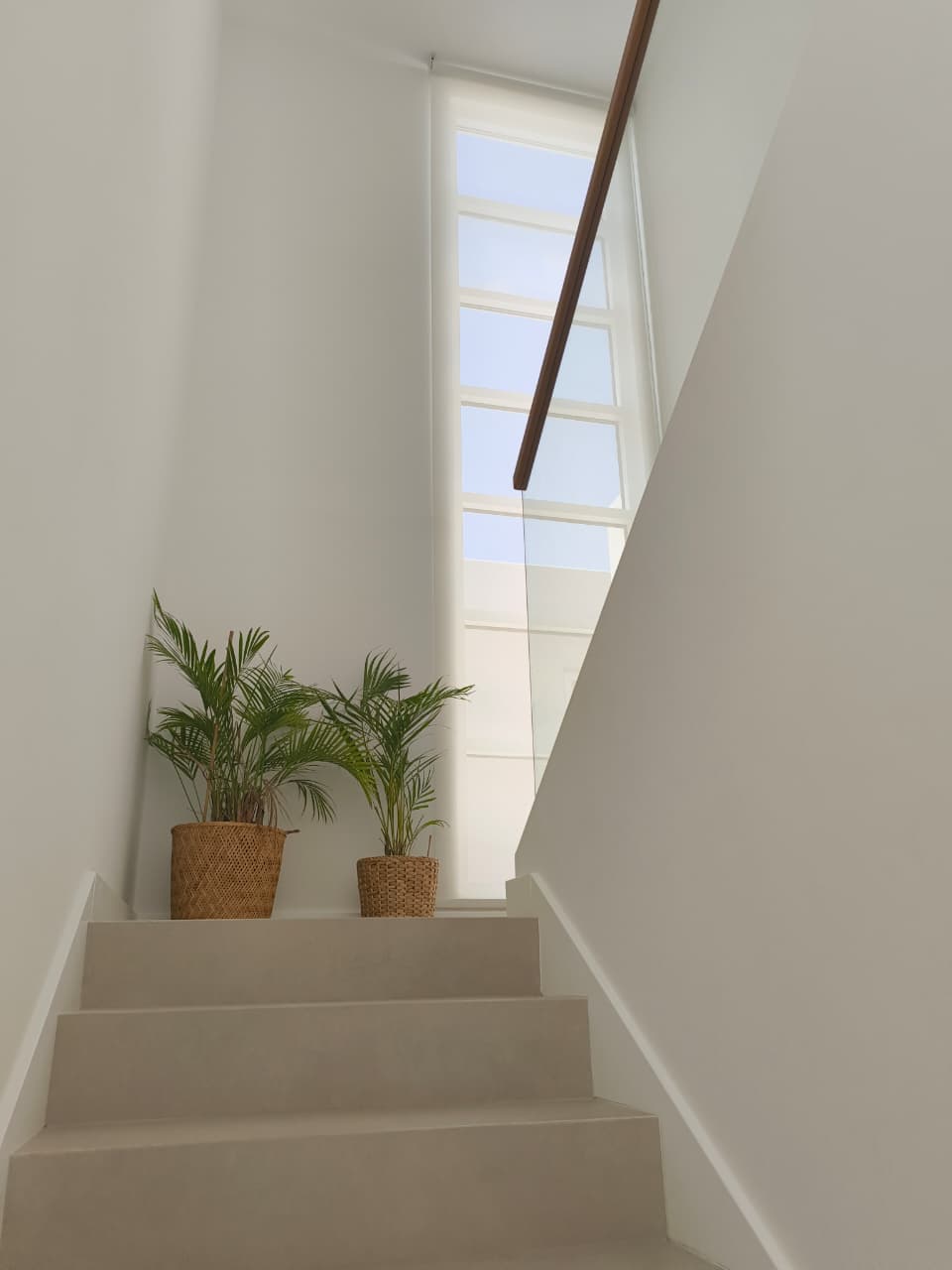 Sunscreen Blinds